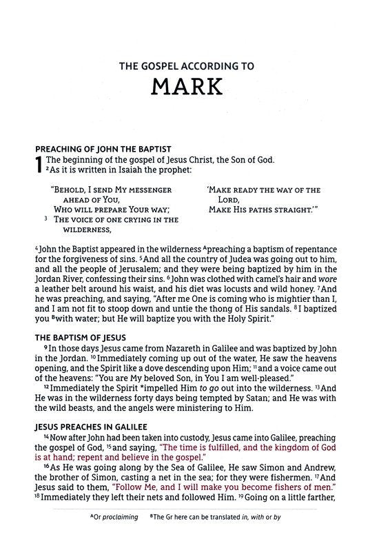 NASB Large Print Thinline Bible Passaggio Setting Brown Leathersoft