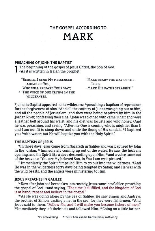 NASB Large Print Thinline Bible Passaggio Setting Black Leathersoft *