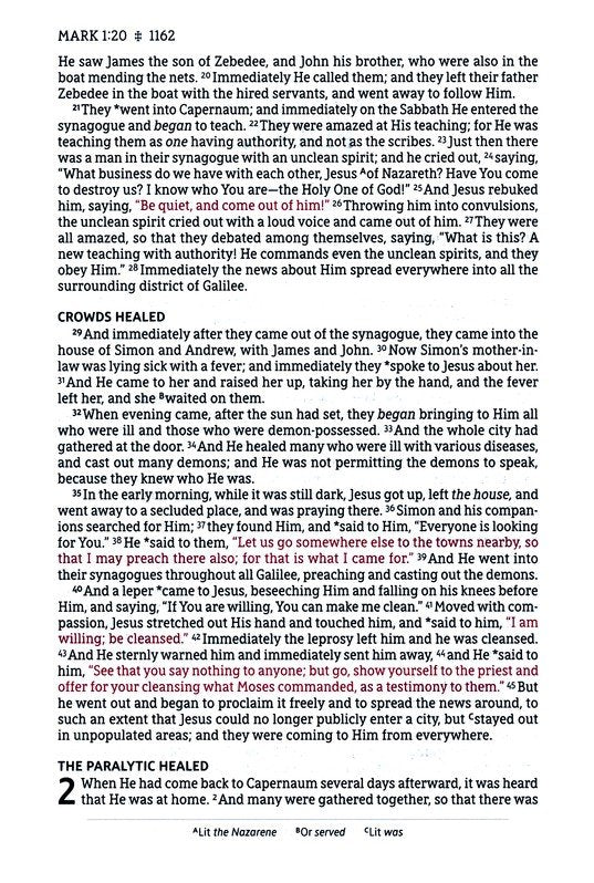 NASB Large Print Thinline Bible Passaggio Setting Brown Leathersoft