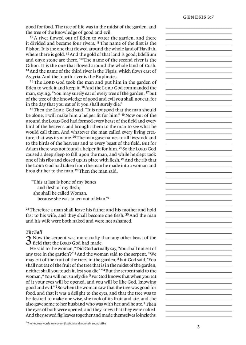 ESV Large Print Single Column Journaling Bible Hardback, Summer Garden