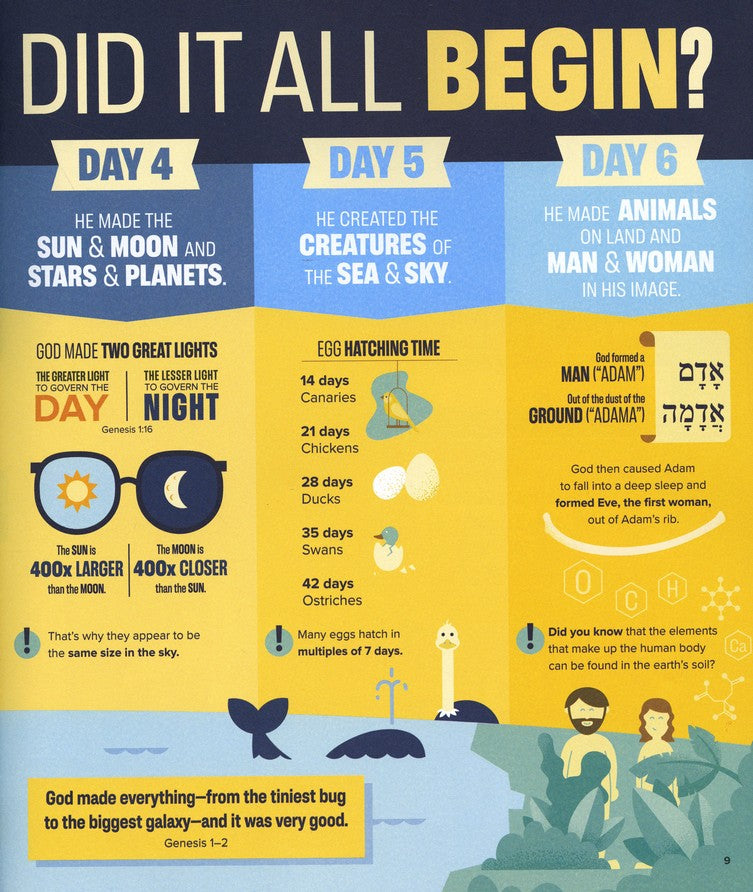 Bible Infographics for Kids Vol. 1