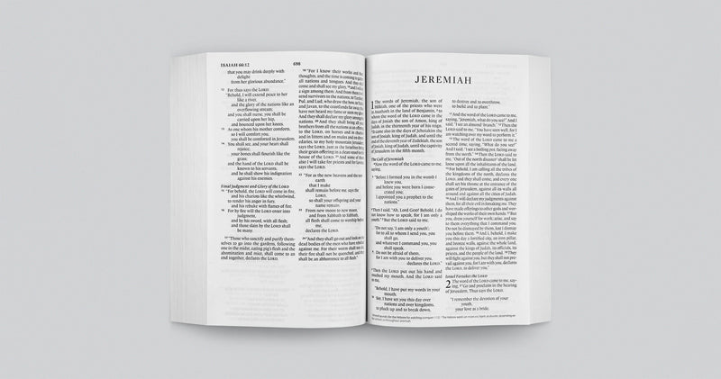 ESV Economy Bible Large Print *