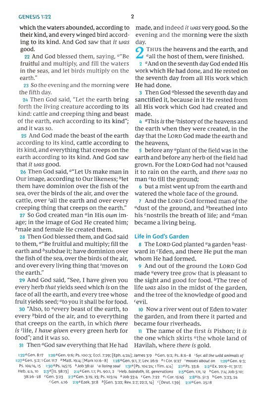 NKJV Large Print Verse by-Verse Reference Bible Brown Leathersoft