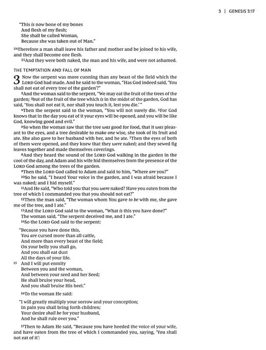 NKJV Journal the Word Bible Brown Bonded