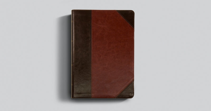 ESV Large Print Wide Margin Bible Brown/Cordovan