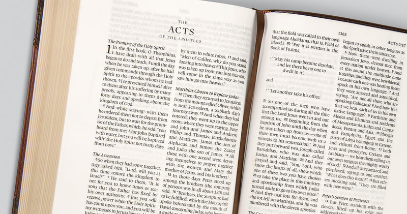 ESV Large Print Wide Margin Bible Brown/Cordovan