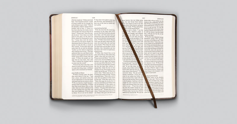 ESV Large Print Wide Margin Bible Brown/Cordovan