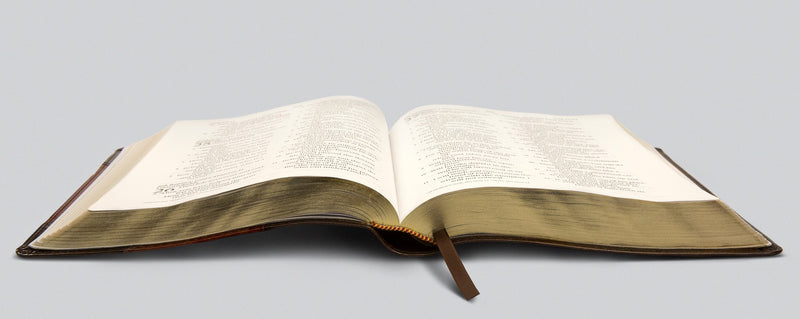 ESV Large Print Wide Margin Bible Brown/Cordovan