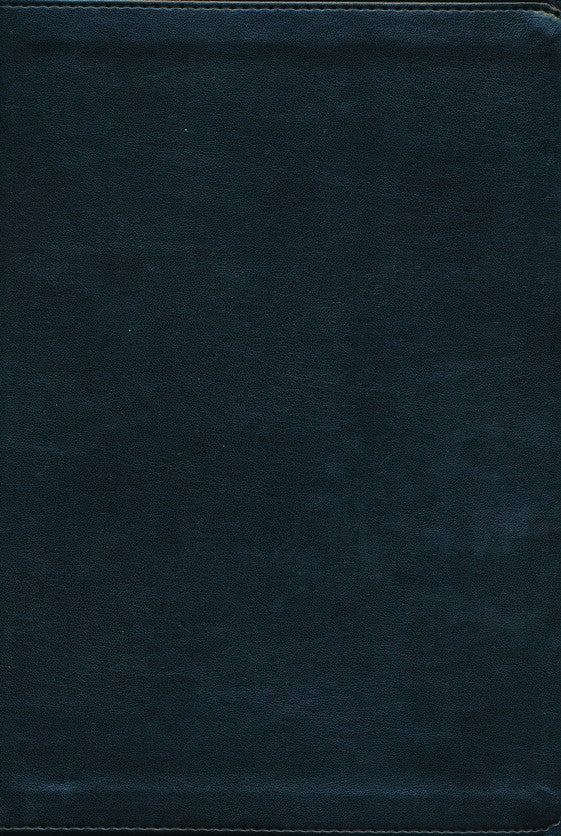 ESV Large Print Bible Black TruTone