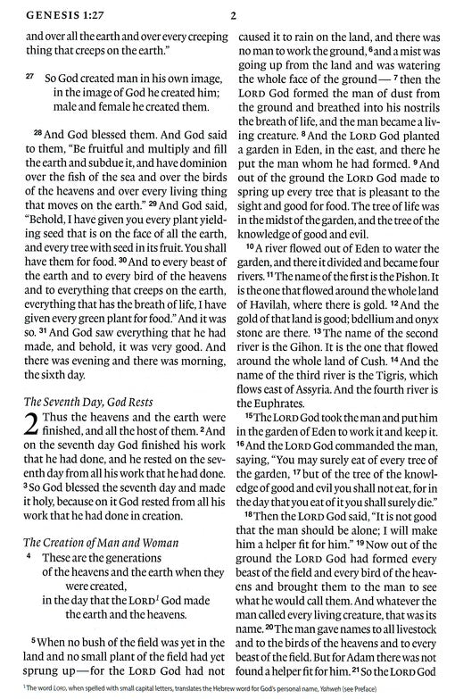 ESV Large Print Bible Black TruTone