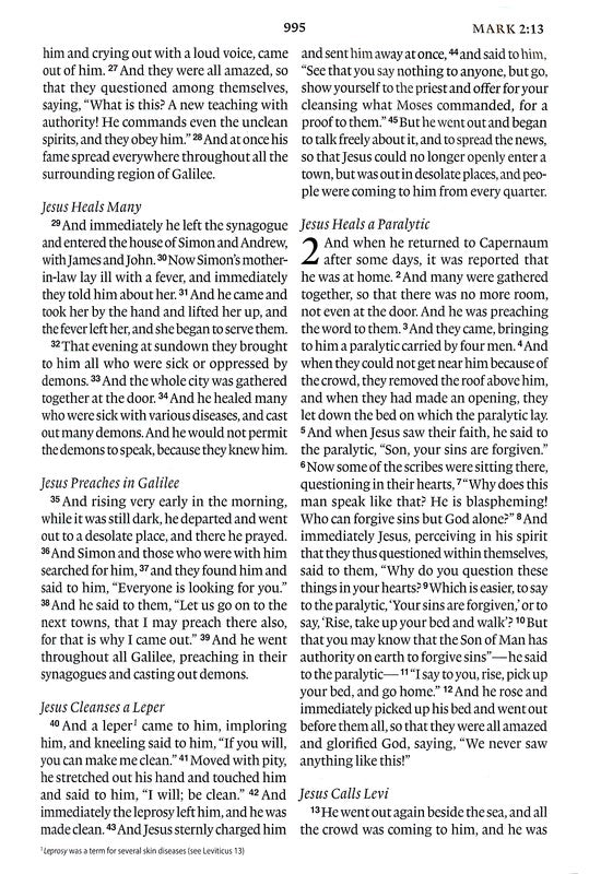 ESV Large Print Bible Black TruTone