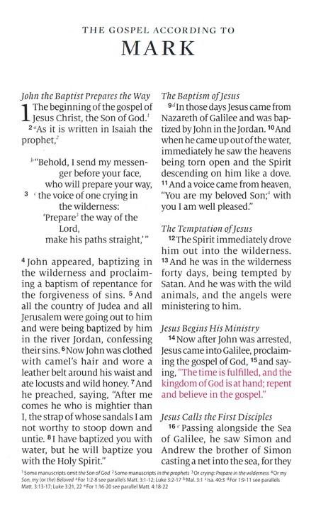 ESV Large Print Personal Size Bible TruTone, Forest/Tan (top)