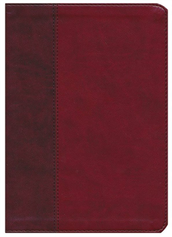 ESV Single Column Journaling Bible, Large Print, Burgundy/Red TruTone