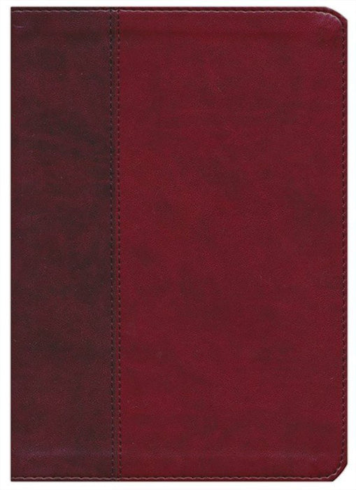 ESV Single Column Journaling Bible, Large Print, Burgundy/Red TruTone