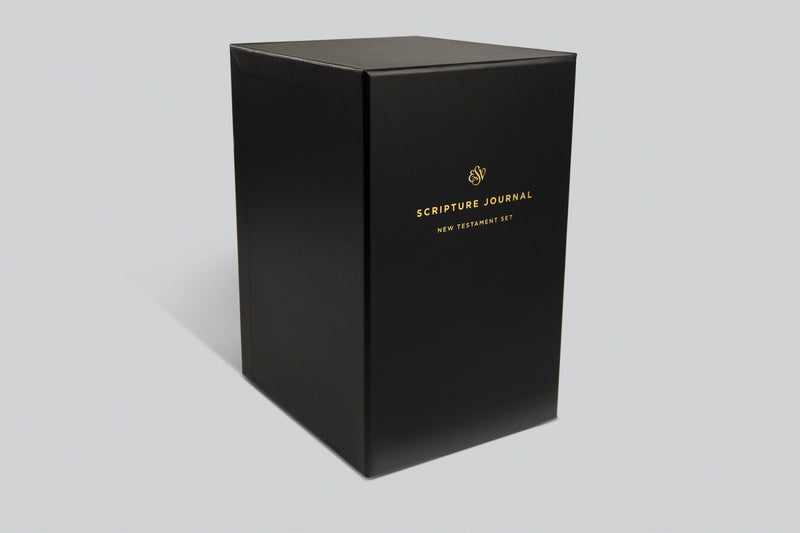 ESV Scripture Journal New Testament Set, paperback