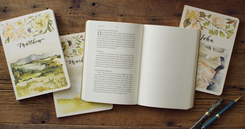 ESV Scripture Journal NT Set with Artwork