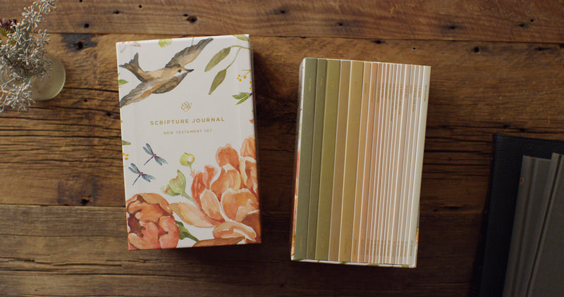 ESV Scripture Journal NT Set with Artwork