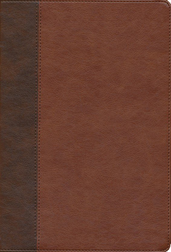 KJV Large Print Verse-By-Verse Reference Bible, Brown Leatherlook, Maclaren Series
