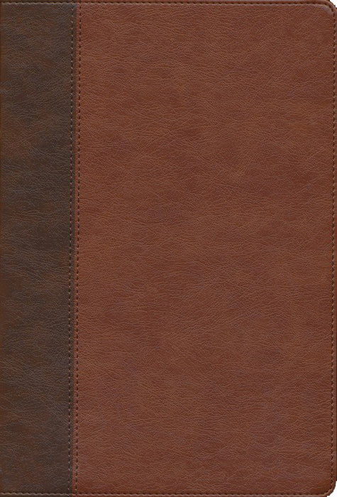 KJV Large Print Verse-By-Verse Reference Bible, Brown Leatherlook, Maclaren Series