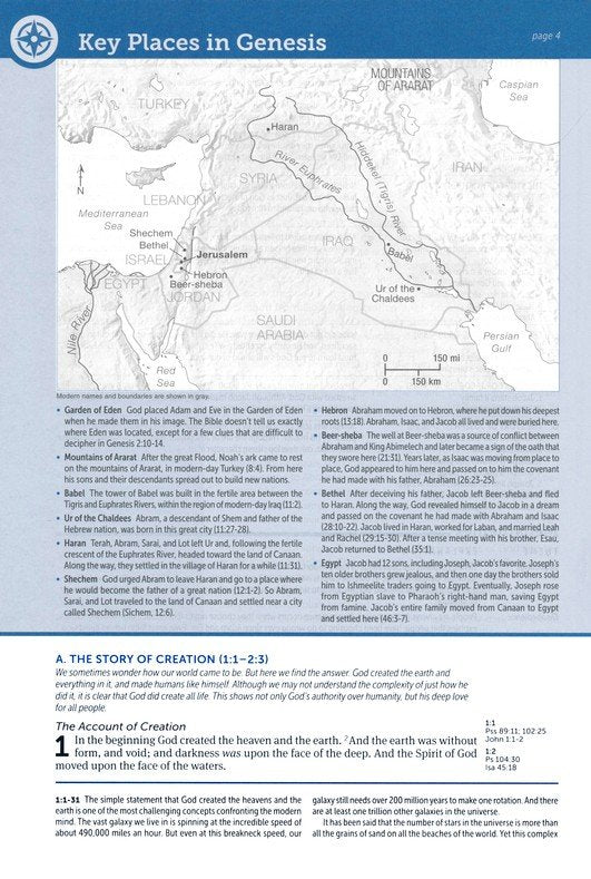 KJV Life Application Bible Brown/Mahogany LeatherLike