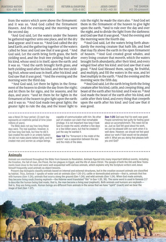 KJV Chronological Life Application Study Bible, Hardback