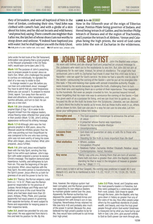 KJV Chronological Life Application Study Bible, Hardback