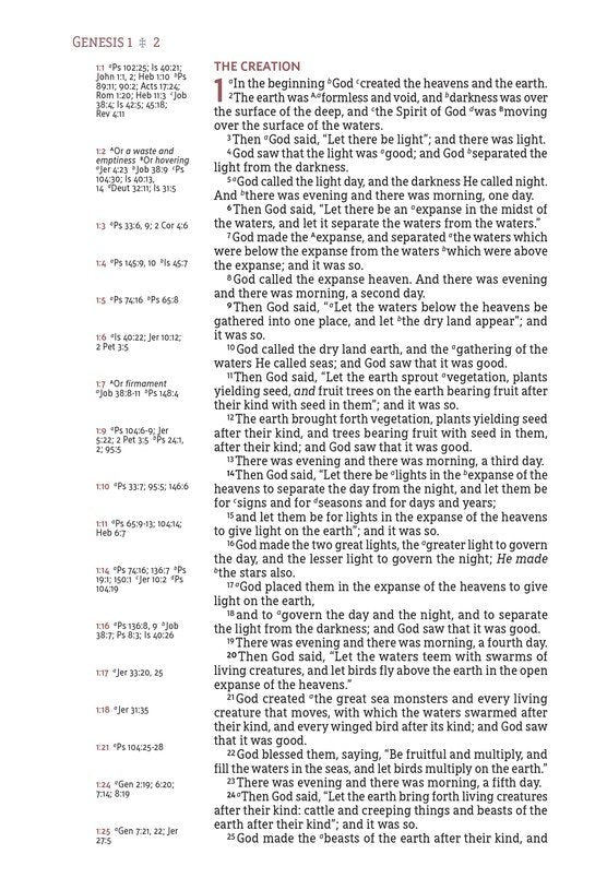 NASB Single-Column Large Print Reference Bible,  Brown Leathersoft