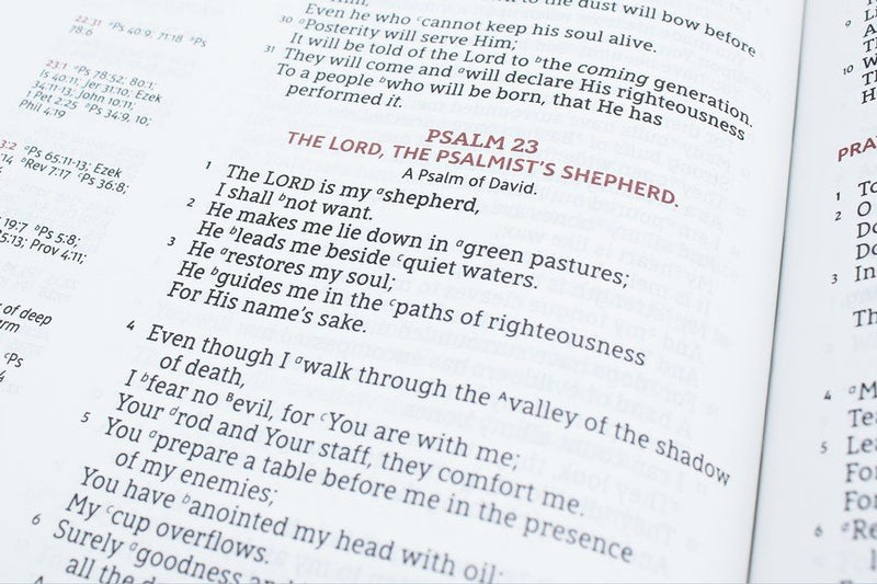 NASB Single-Column Large Print Reference Bible,  Brown Leathersoft