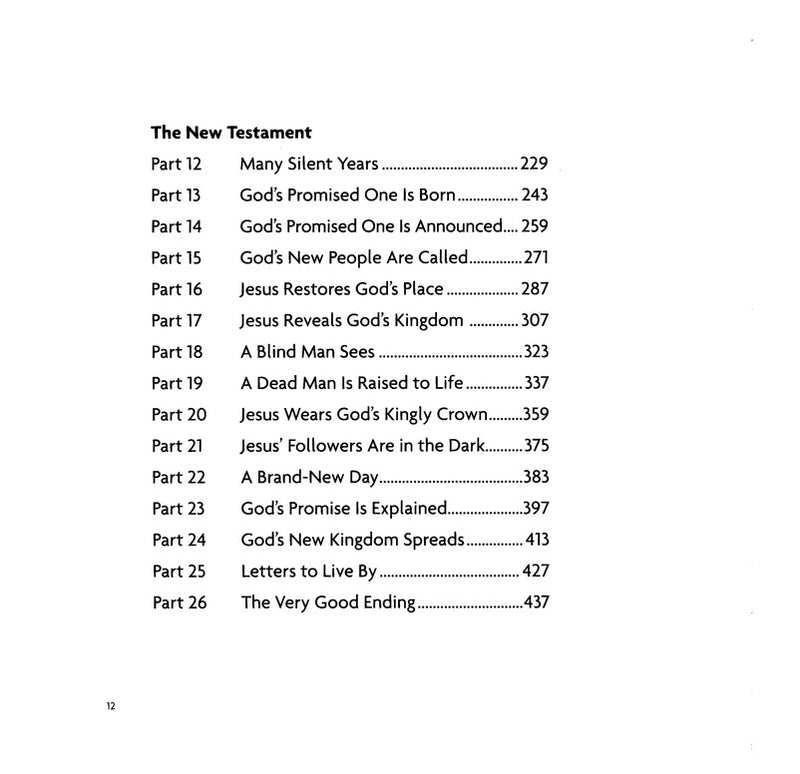 The Big Picture Story Bible, hardback