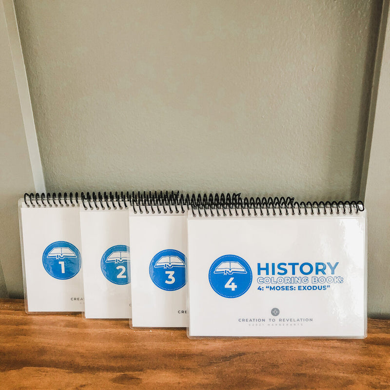Creation To Revelation: History Pack 3: Jacob & Joseph Mini Coloring Book