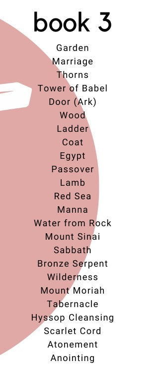 Creation To Revelation: Shadows of Christ, Book 3, Full Size Spiral