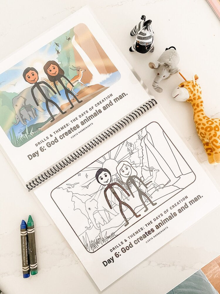 Creation To Revelation: Drills & Themes:  Days of Creation Dry Erase Book