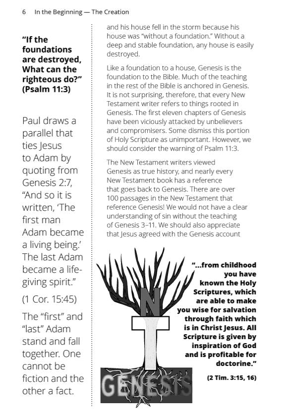 In The Beginning: The Creation (Faith Builder Series, 6:1)