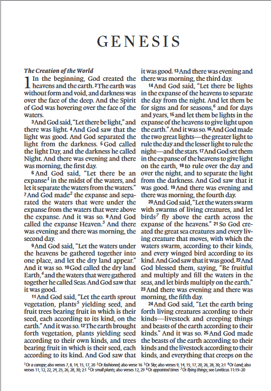 ESV Large Print Compact Bible Stone TruTone