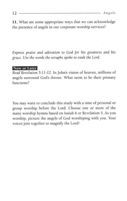 Angels: Standing Guard - LIfeGuide Bible Studies