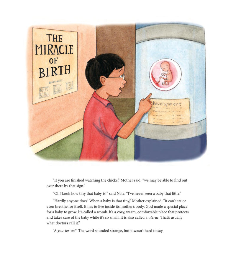 Where Do Babies Come From?: For Girls Ages 6-8 - Learning About Sex Series