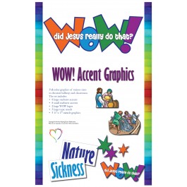 Wow! Did Jesus Really Do That? - Accent Graphics