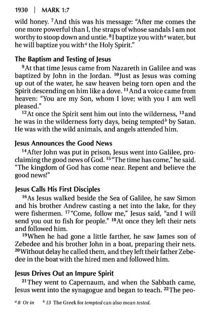 NIV Giant Print Compact Bible Brown Leathersoft