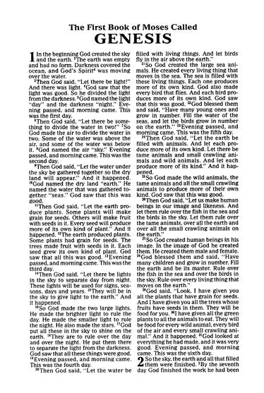 ICB Really Woolly Bible Pink