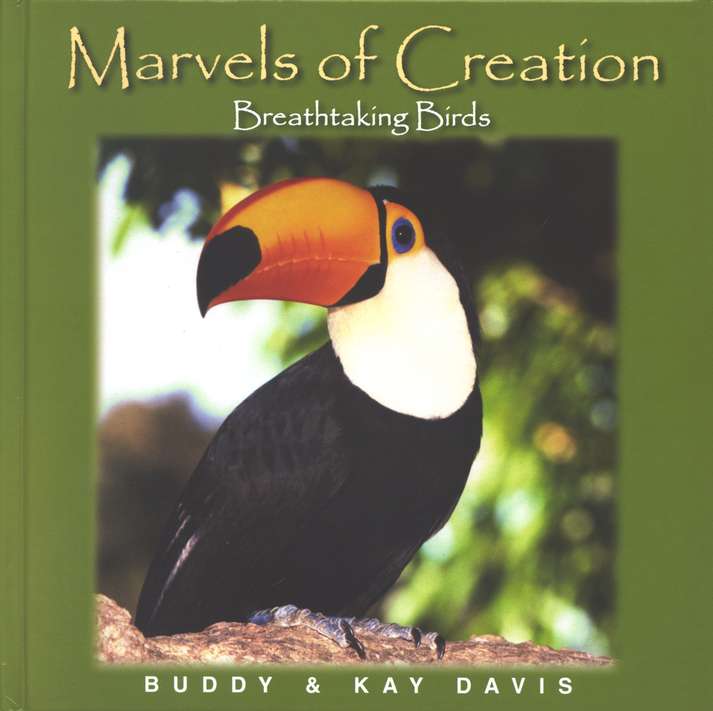 Marvels of Creation: Breathtaking Birds
