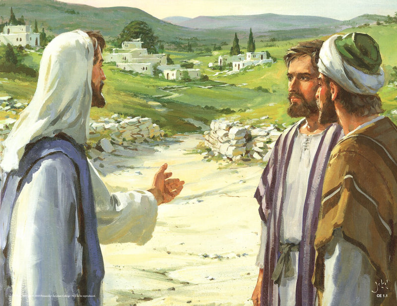 Crucifixion And Resurrection (Life of Christ Series 5) - Abeka Flash-A-Card