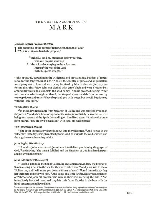 Excerpt: Mark 1