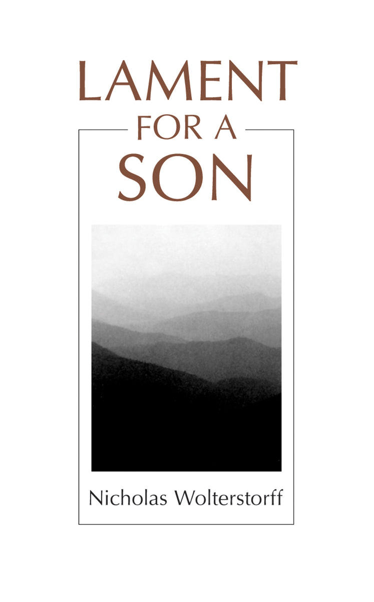 Lament for a Son — One Stone Biblical Resources