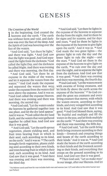 ESV Large Print Value Thinline Bible, Black, Trutone