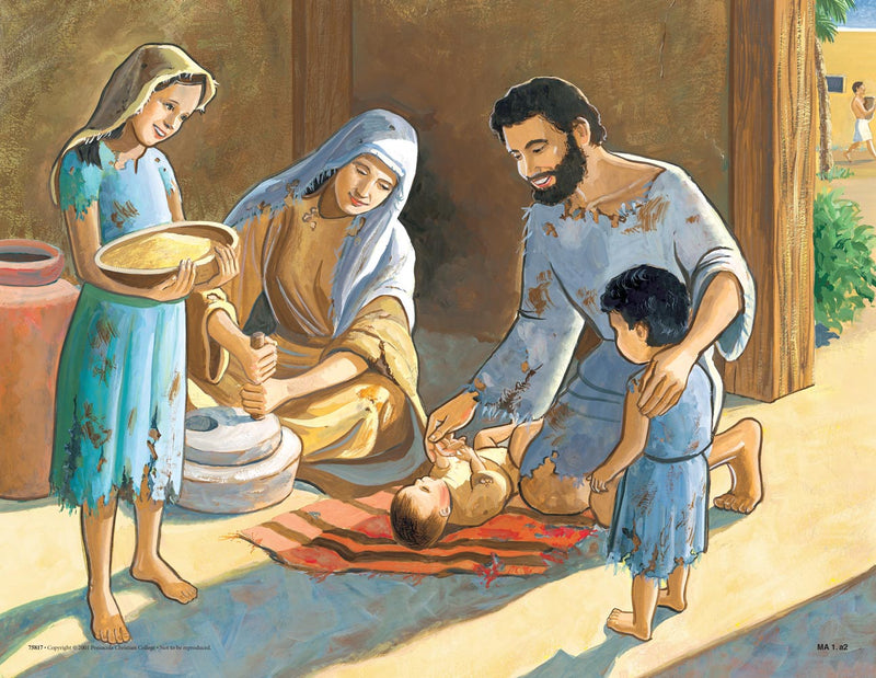 Moses in Egypt (Life of Moses Series 1)  Abeka Flash-A-Card