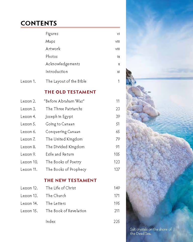 The Big Picture: A Guide to Learning the Bible's Story