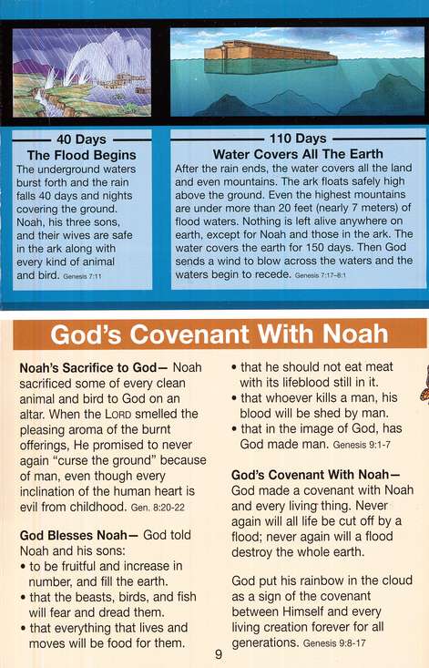 Noah's Ark Pamphlet
