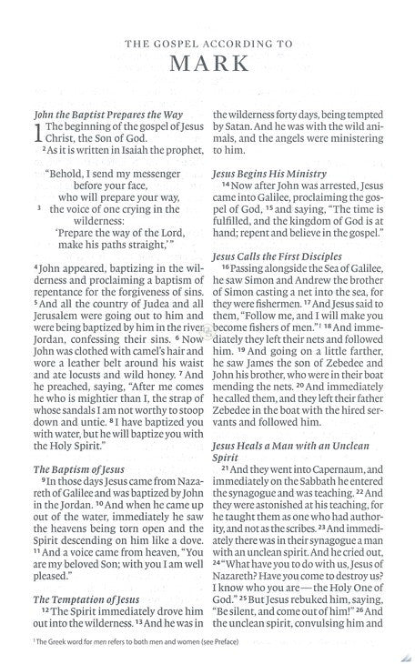 ESV Large Print Value Thinline Bible, Black, Trutone