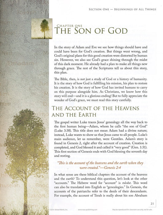 Jesus' Family Tree: Seeing God's Faithfulness in the Genealogy of Christ