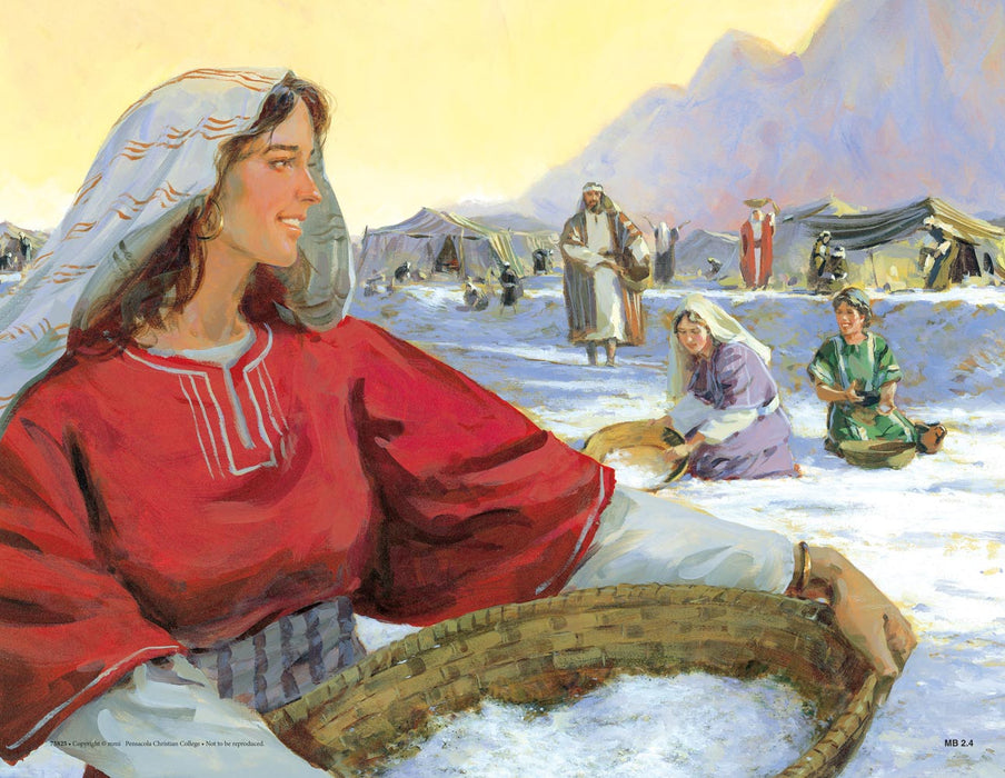 Journey to Sinai (Life of Moses Series 2) - Abeka Flash-A-Card